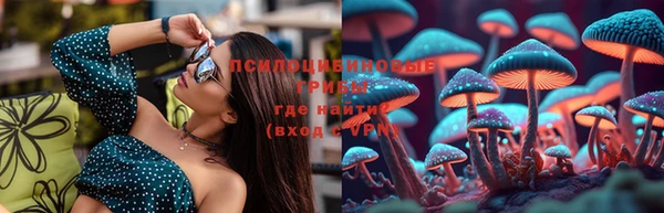 кокс Алзамай